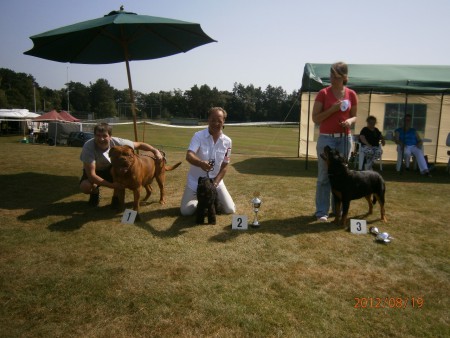 19-08-2012 Clubmatch KC Dieren 1U/BOB/2BIG